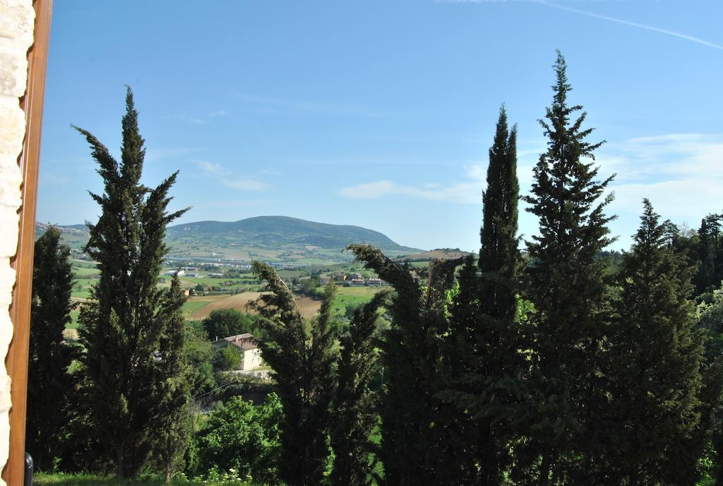 La Finestra Sul Conero Castelfidardo Quarto foto